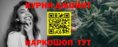 мдпв Пугачёв