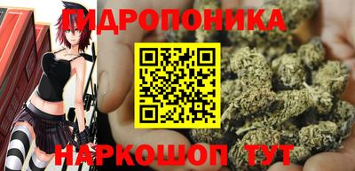 PSILOCYBIN Пушкино