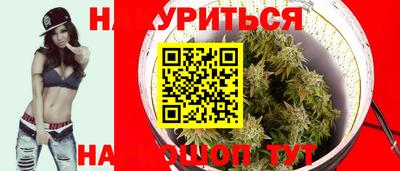 мдпв Пугачёв